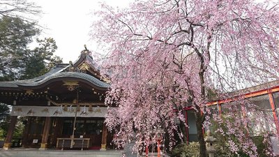 ⛩️ 스즈카묘 신사 (스즈카묘진샤) 이미지 2